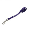 Promotional Dog Leads - 15mm